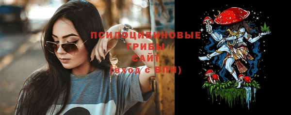 винт Коряжма