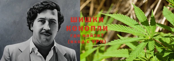 дурь Корсаков