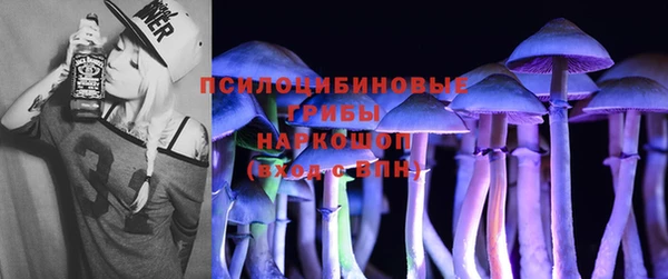 первитин Каменка