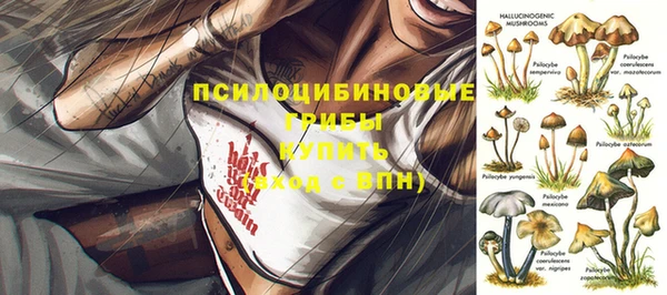 мяу мяу кристалл Бородино