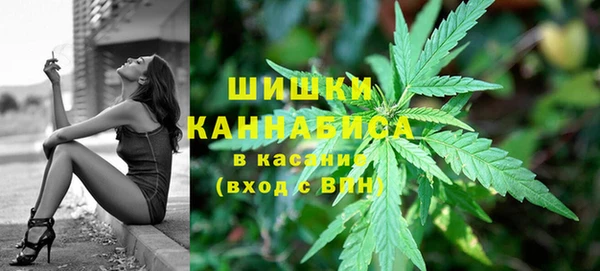 первитин Каменка