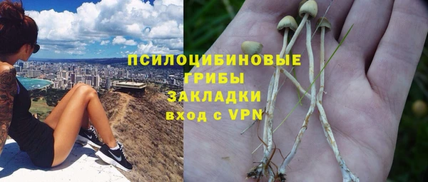 первитин Каменка