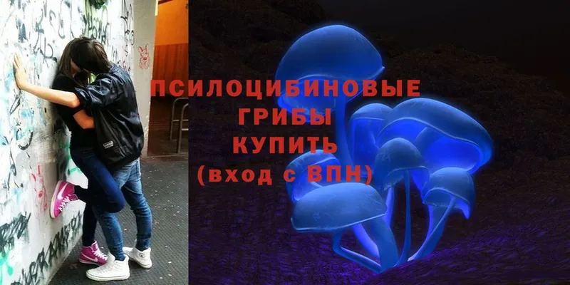 Псилоцибиновые грибы MAGIC MUSHROOMS  Ростов 